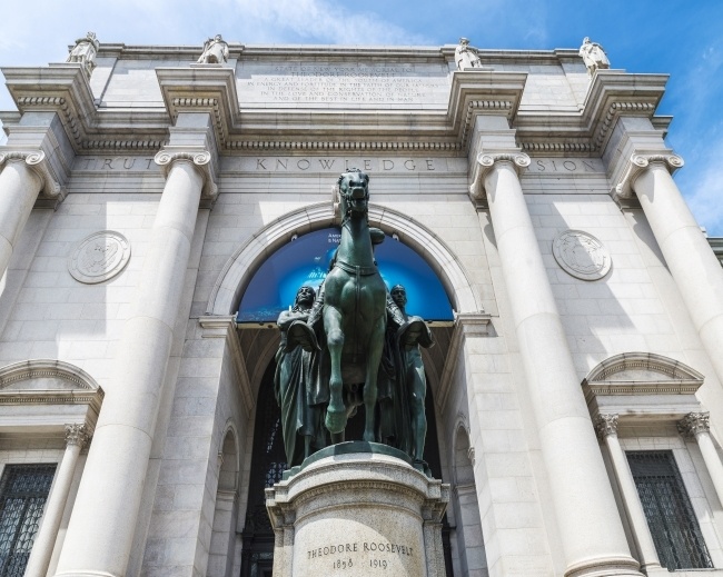 Cultural Institutions